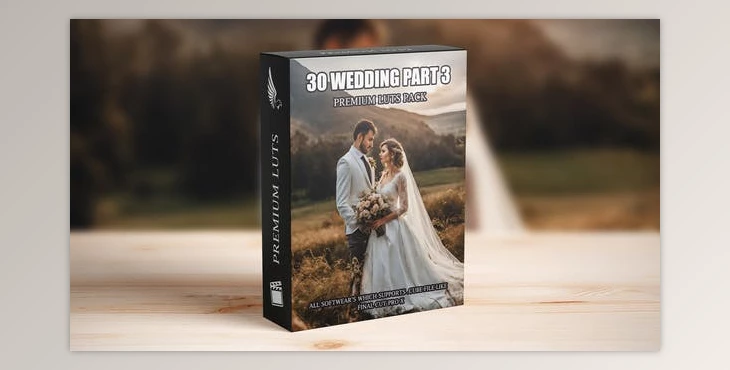 Download Master Wedding Videography: 30 Premium Cinematic LUTs – Ideal for Professional Videographers (Videohive 50041893)