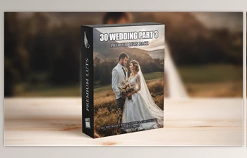Download <span class='badge badge-warning'>Master</span> Wedding Videography: 30 Premium Cinematic LUTs – Ideal for Professional Videographers (Videohive 50041893)