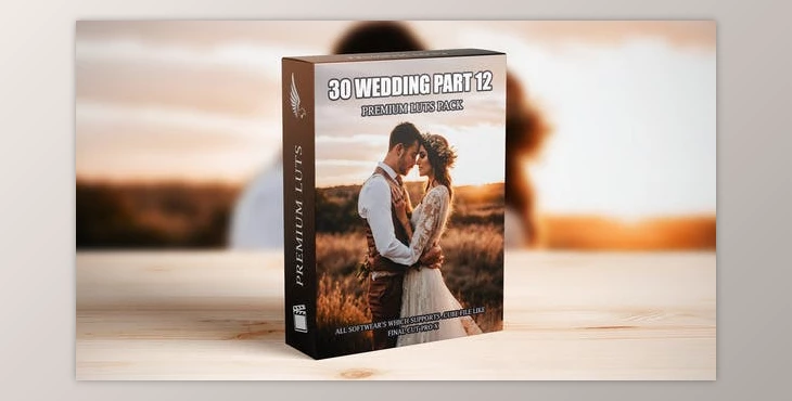 Download Professional Cinematic LUTs Collection: 30 Wedding Video Presets for Elite Videography (Videohive 50111508)