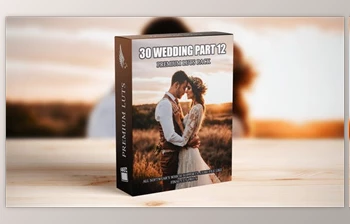 Download Professional <span class='badge badge-warning'>Cinematic</span> LUTs Collection: 30 Wedding Video Presets for Elite Videography (Videohive 50111508)