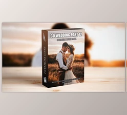 Download Professional Cinematic LUTs Collection: 30 Wedding Video Presets for Elite Videography (Videohive 50111508)