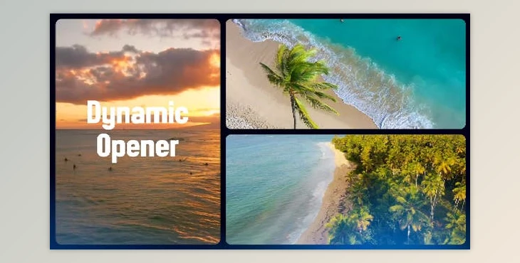 Download Dynamic Gallery Opener (Videohive 50160450) - AE Project