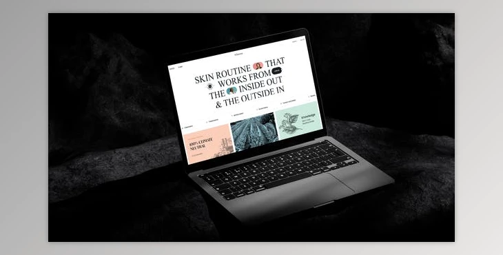 Download Presentation Website (Videohive 50114715) - AE Project