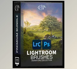 Download Signature Lightroom Brushes - Clever Photographer