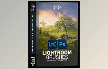 Download Signature <span class='badge badge-warning'>Lightroom</span> Brushes - Clever Photographer
