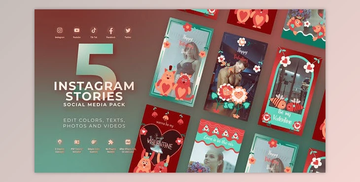 Download Valentines Day Vertical Instagram (Videohive 50244747) - AE Project