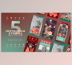 Download Valentines Day Vertical Instagram (Videohive 50244747) - AE Project