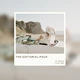 Download Dawn Charles x Alex Mari – The Editorial Pack