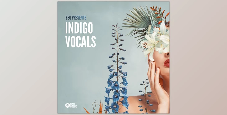 Download Black Octopus Indigo Vocals by Beò