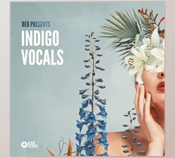 Download Black Octopus Indigo Vocals by Beò