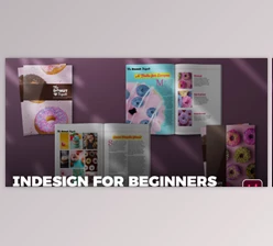Download Adobe InDesign Basics for Beginners