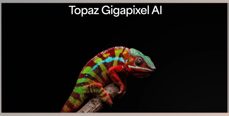 Topazlabs - Download Topaz Gigapixel AI Pro v8.4.4 (Win, Mac-v8.4.2)
