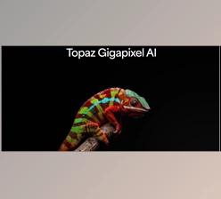 Topazlabs - Download Topaz Gigapixel AI Pro v8.4.4 (Win, Mac-v8.4.2)