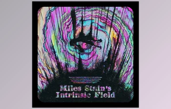 Download Miles Stain Intrinsic Field (<span class='badge badge-warning'>Analog</span> <span class='badge badge-warning'>Lab</span> V Bank)