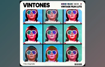 Download <span class='badge badge-warning'>Vintones</span> | Vintage Film LUTs