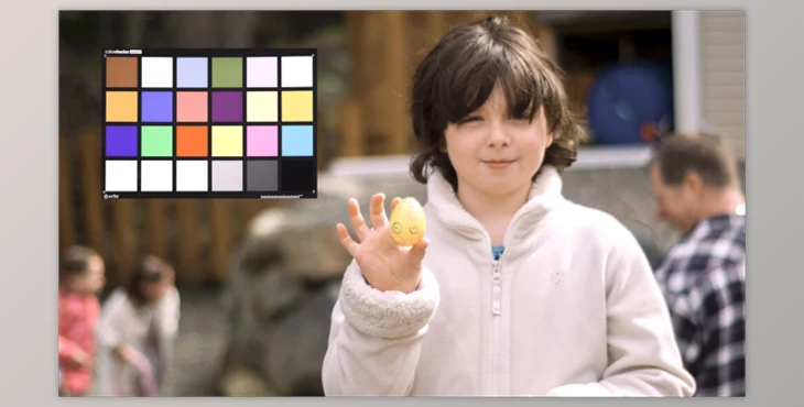 Download Fsorvin Autochrome LUTs