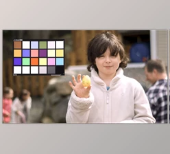 Download Fsorvin Autochrome LUTs
