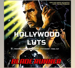 Download Hollywood LUTs – Blade Runner