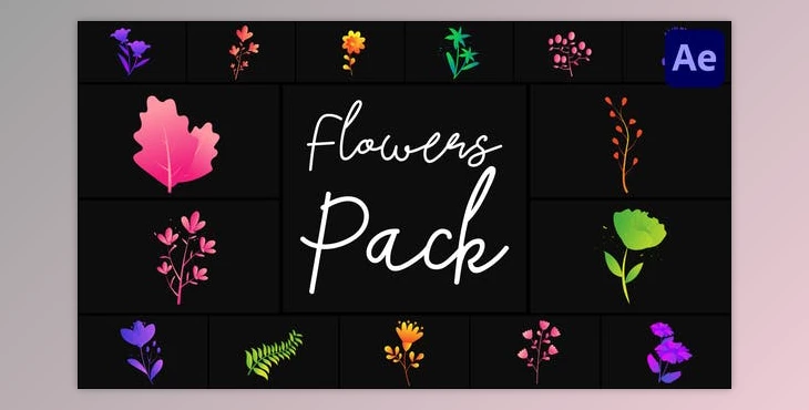 Download Flowers Pack for After Effects (Videohive 50689716) - AE Project