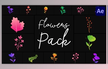 Download Flowers <span class='badge badge-warning'>Pack</span> for After Effects (Videohive 50689716) - AE Project