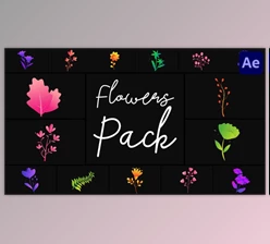 Download Flowers Pack for After Effects (Videohive 50689716) - AE Project