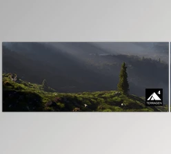 Download Terragen Professional v4.8.64 (Win, Mac)