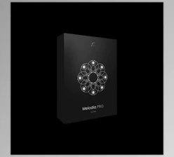 Download FVII Melodia Pro (WAV, MiDi)