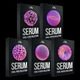 Download Sam Smyers Serum Viral Sounds Collection (MIDI)