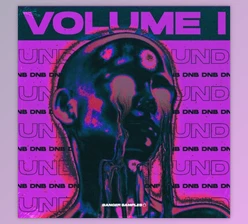 Download Banger Samples Underground DNB Vol.1 (WAV, MIDI)