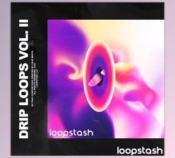 Download Dave Beats Drip Loops Vol. 2 (WAV, MIDI)