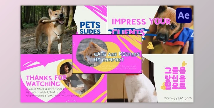 Download Slides Pets | After Effects (Videohive 50806866) - AE Project
