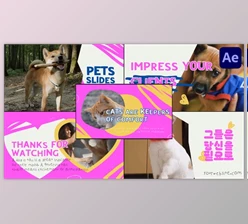 Download Slides Pets | After Effects (Videohive 50806866) - AE Project