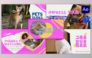 Download Slides Pets | <span class='badge badge-warning'>After</span> <span class='badge badge-warning'>Effects</span> (<span class='badge badge-warning'>Videohive</span> 50806866) - AE <span class='badge badge-warning'>Project</span>