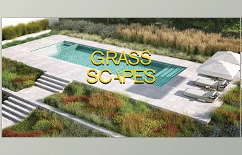 Download Grass Scapes + <span class='badge badge-warning'>Scatter</span> for Blender