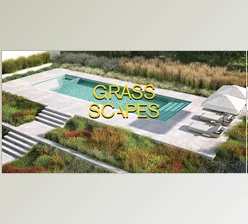 Download Grass Scapes + Scatter for Blender