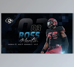 Download Sports Team Introduction (Videohive 46134233) - AE Project