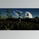 Download Unreal Engine -Procedural Terrain Generator v2