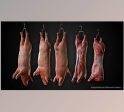 Download Unreal Engine - Carcasses v4.20