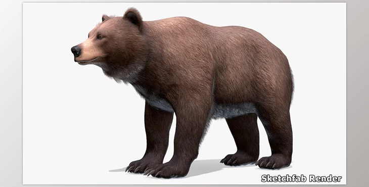 Download Unreal Engine - Bear Female v5.1