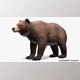 Download Unreal Engine - Bear Female v5.1