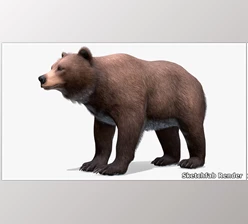 Download Unreal Engine - Bear Female v5.1
