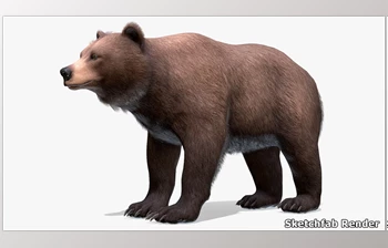 Download Unreal Engine - <span class='badge badge-warning'>Bear</span> Female v5.1