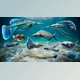 Download Unreal Engine - Alien Fish for School System - Scifi Fantasy Creatures