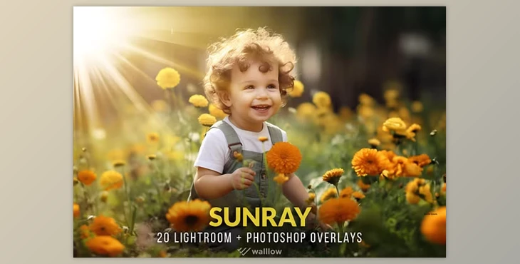 Download Creativemarket – Realistic sunlight overlays PNG and JPG