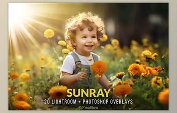 Download Creativemarket – Realistic sunlight overlays PNG and <span class='badge badge-warning'>JPG</span>