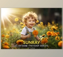 Download Creativemarket – Realistic sunlight overlays PNG and JPG