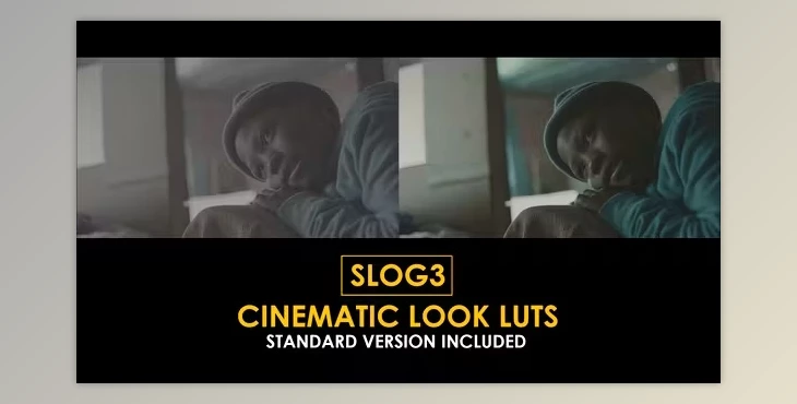 Download Slog3 Cinematic Look and Standard Color LUTs (videohive 51046255)