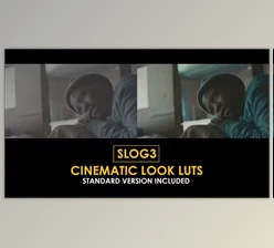 Download Slog3 Cinematic Look and Standard Color LUTs (Videohive 51046255)