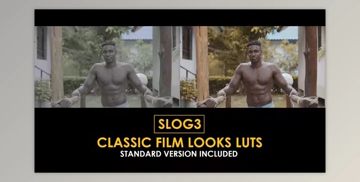 Download Slog3 Classic Film Looks and Standard Color LUTs (videohive 51047580)