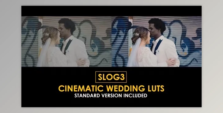Download Slog3 Cinematic Wedding and Standard Color LUTs (videohive 51047618)